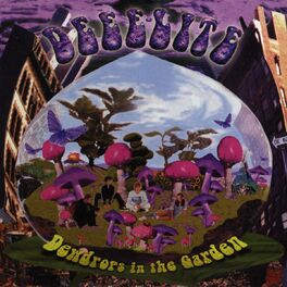 Album cover of Dewdrops in the Garden