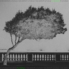 Album cover of Quem Será?