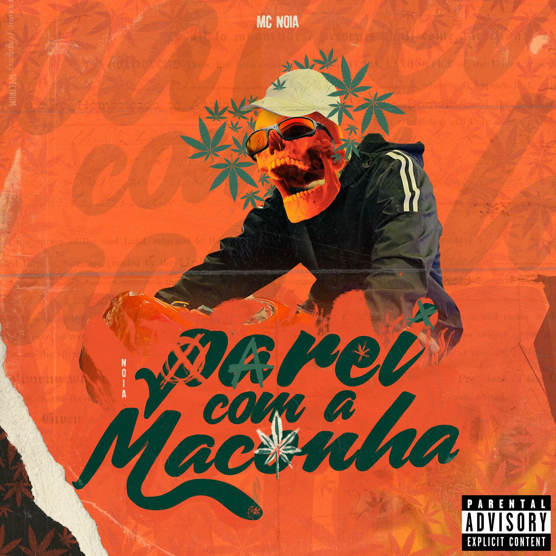 MC Noia - Parei Com a Maconha (Tropa do Pau Grosso): lyrics and songs |  Deezer