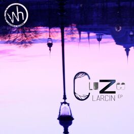 Album cover of Larcin