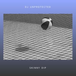 Album cover of Skinny Dip