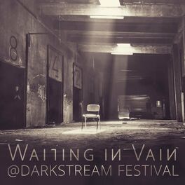 Album picture of @Darkstream Festival