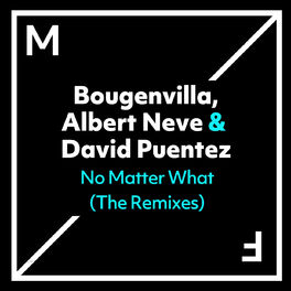 Album cover of No Matter What (The Remixes)
