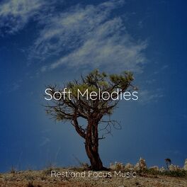 Album cover of 30 Sounds of Nature for Pure Mindfulness, Serenity