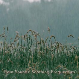 Album cover of Rain Sounds: Soothing Frequencies