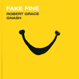Album cover of Fake Fine (feat. gnash)