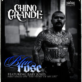 Chino Grande - Dollars & Pesos: lyrics and songs | Deezer