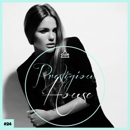 Album cover of Prestigious House, Vol. 24