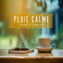 Album cover of Pluie calme pour étudier