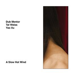 Album cover of A Slow Hot Wind