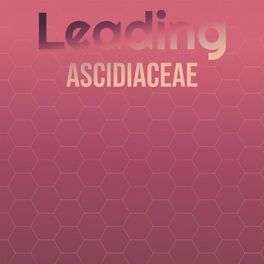Album cover of Leading Ascidiaceae