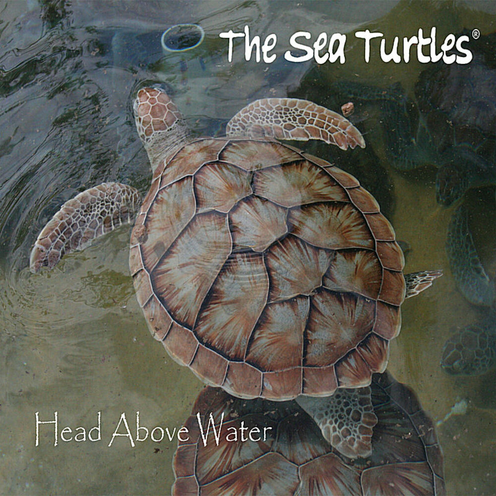 Обложка альбома черепаха. Sea Turtle head. Turtle Blues. Песня черепахи.