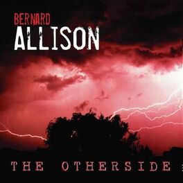 Album cover of The Otherside