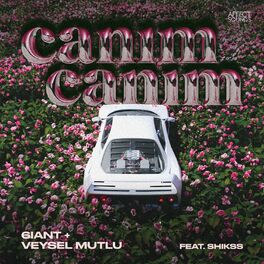 Album cover of Canım Canım