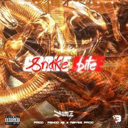 Album cover of Snake Bite