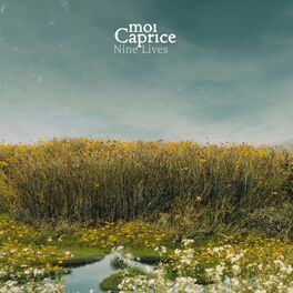 Album cover of Nine Lives