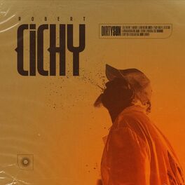 Album cover of Dirty Sun