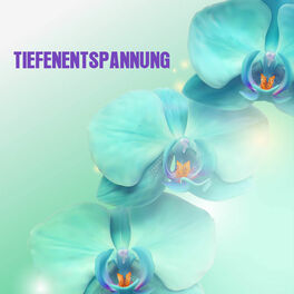 Album cover of Tiefenentspannung (Schlaf Gut, Ruhe, Gesunder Schlaf, Entspannungsmusik für Wellness, Spa, Massage, Erholung, Meditation, Entspann
