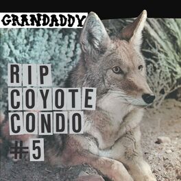 Album cover of RIP Coyote Condo #5