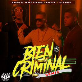 Album picture of Bien Criminal (Remix)