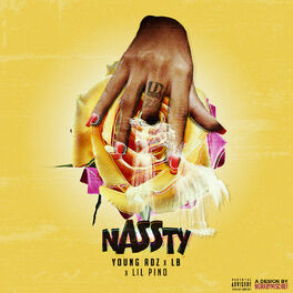 Album picture of nASSty