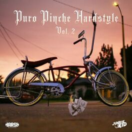 Album cover of PURO PINCHE HARDSTYLE VOL. 2
