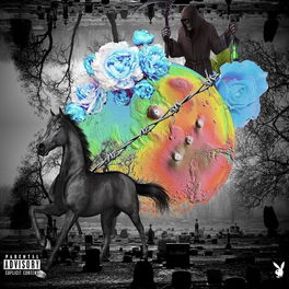 Album cover of Darkhorse
