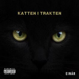 Album cover of Katten i trakten