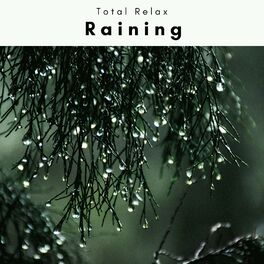 Album cover of 4 Relax: Raining Raining
