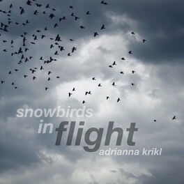 Album cover of Snowbirds In Flight