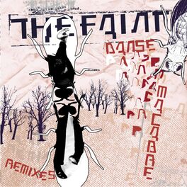 Album cover of Danse Macabre Remixes (Remix)