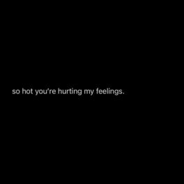 Album cover of So Hot You're Hurting My Feelings