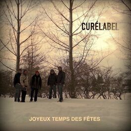 Album cover of Joyeux temps des fêtes