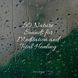 Album cover of 50 Nature Sounds for Meditation and Total Healing