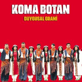 Album cover of Duygusal Grani