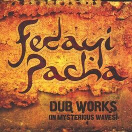 Album cover of Dub works (in mysterious waves)