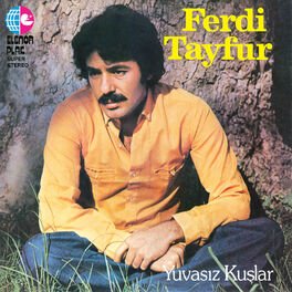 Album cover of Yuvasız Kuşlar