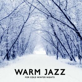 Album cover of Warm Jazz for Cold Winter Nights: Saxophone Music with Ambient Piano, Relax Time