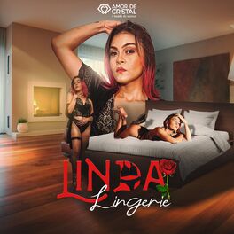 Album cover of Linda Lingerie