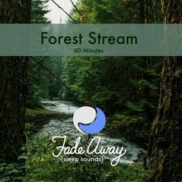 Album cover of Forest Stream
