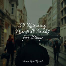 Album cover of 35 Relaxing Rainfall Tracks for Sleep