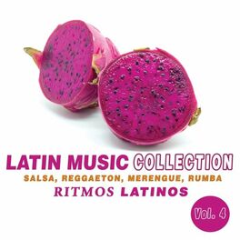 Album cover of Latin Music Collection: Ritmos Latinos, Vol. 4 (Salsa, Reggaeton, Merengue, Rumba)