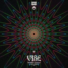 Album picture of Vibe