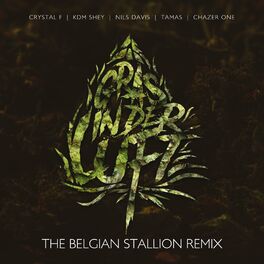 Album cover of Gras in der Luft - EP (The Belgian Stallion RMX)