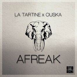 Album cover of Afreak