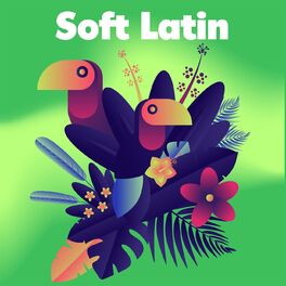 Album cover of Soft Latin