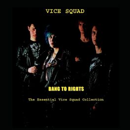 Album cover of Bang To Rights: The Essential Vice Squad Collection