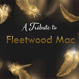 Album cover of A Tribute To Fleetwood Mac