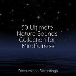 Album cover of 30 Ultimate Nature Sounds Collection for Mindfulness