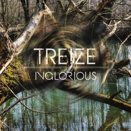 Album cover of Treize